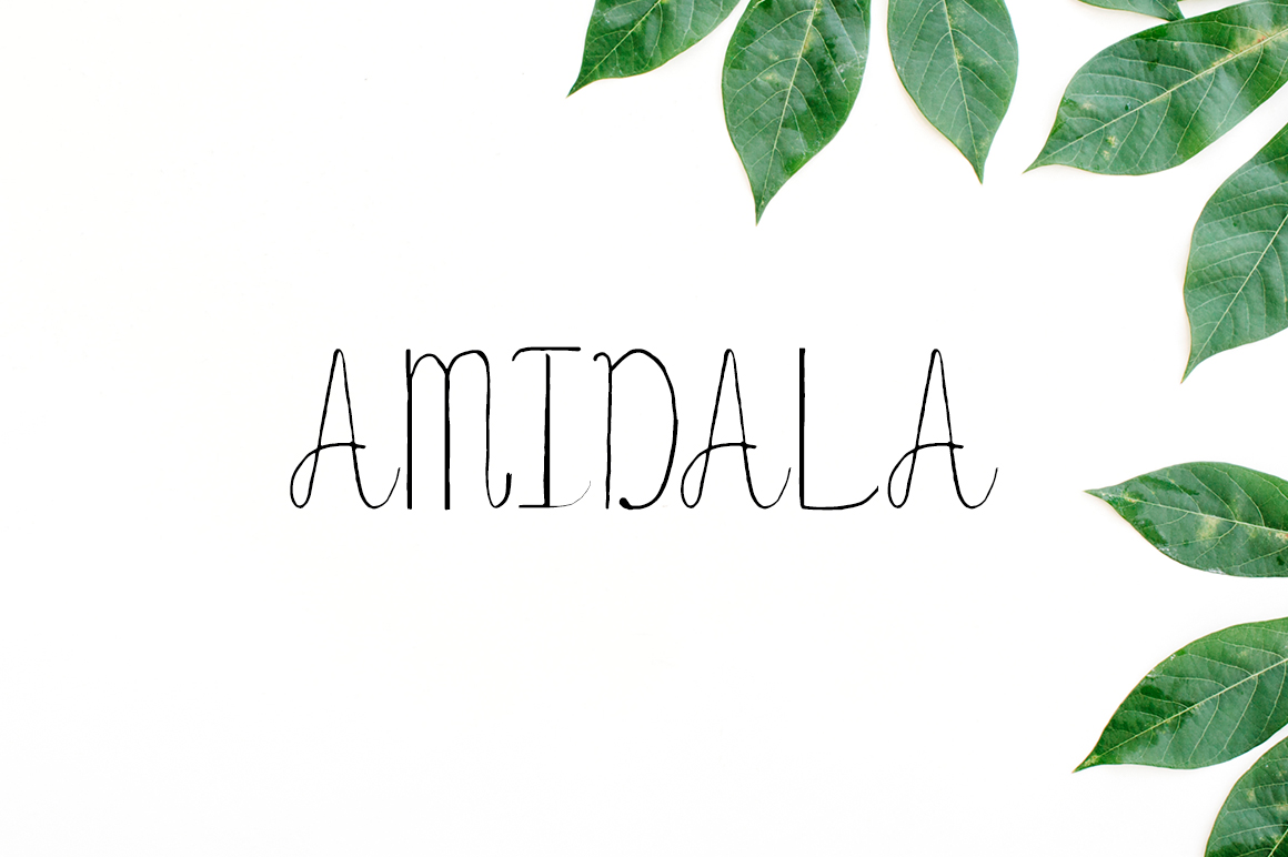 Amidala: A Versatile Script Font for Branding and Design