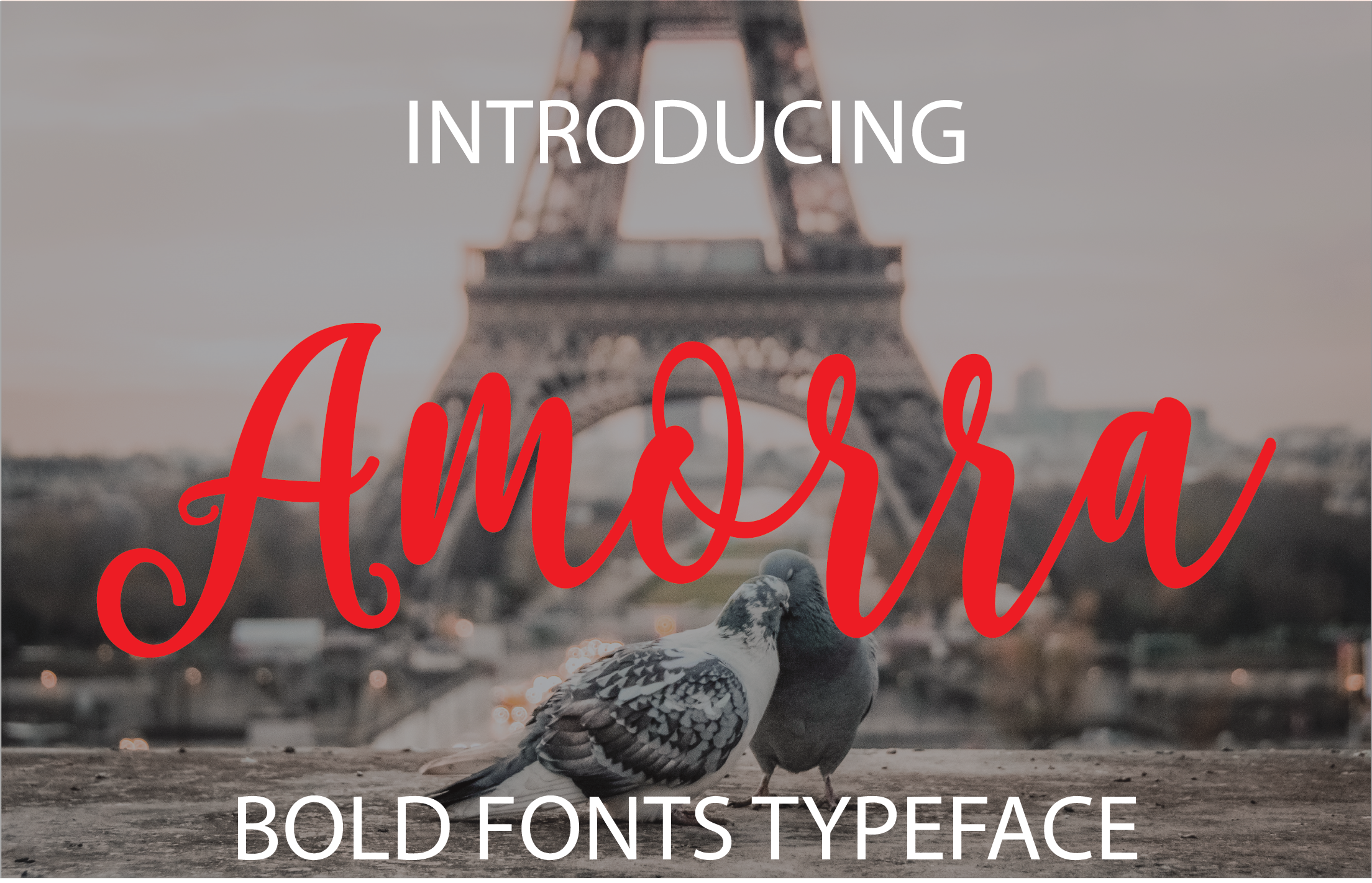 Amorra: A Script Font That Breathes Life Into Your Handmade Creations