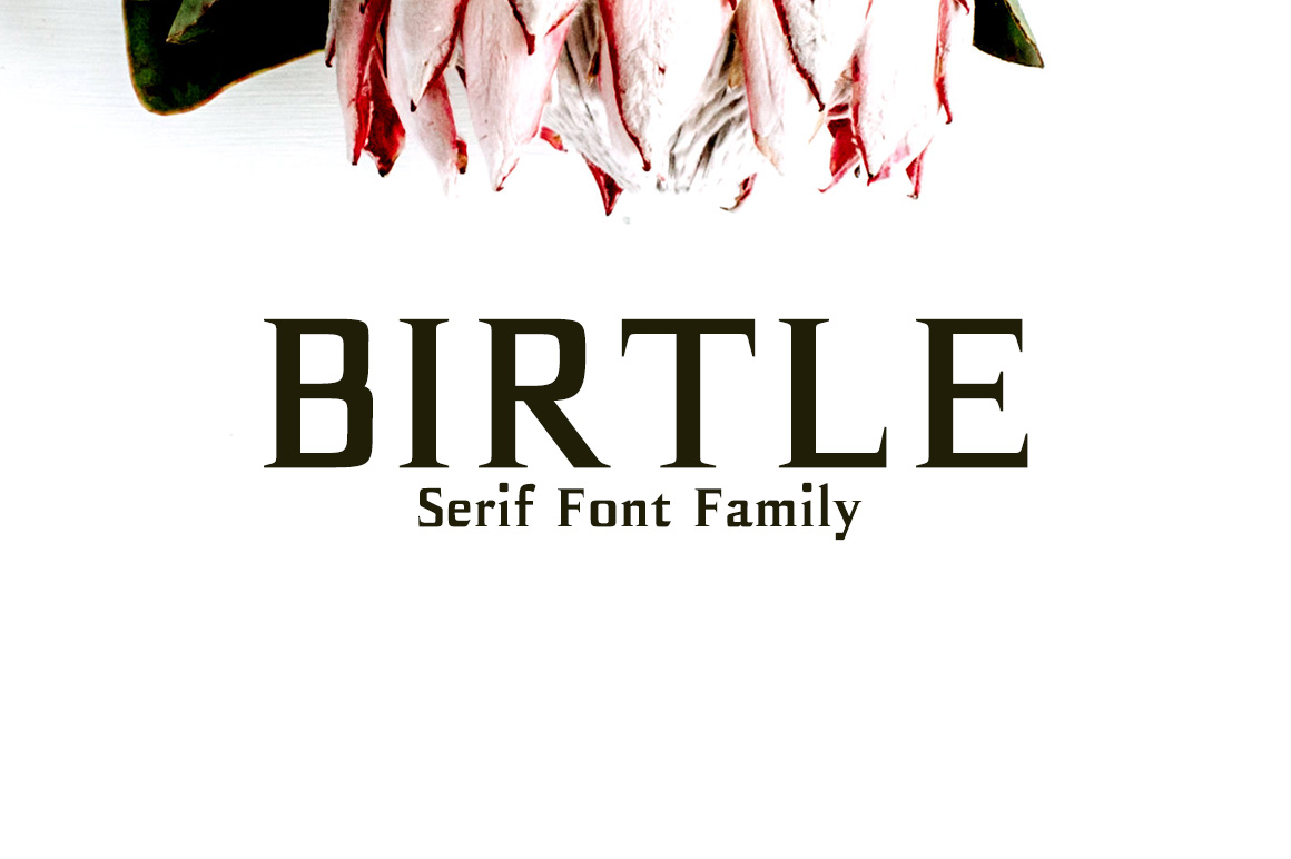 Birtle: A Square Serif Font for Modern Campaigns
