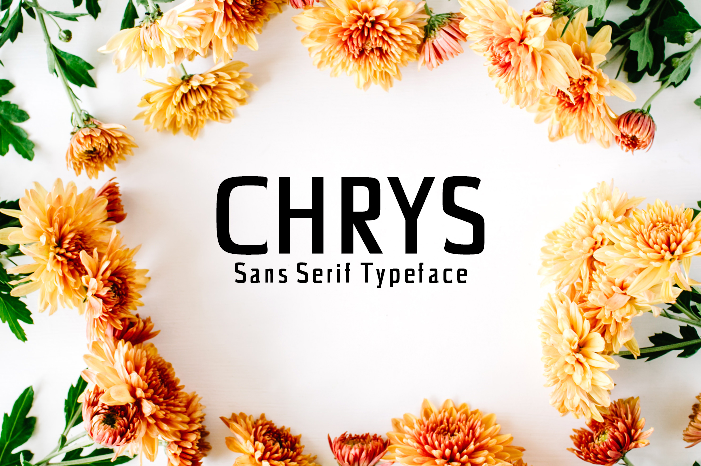 Chrys: A Bold Sans Serif for Editorial Design and Branding