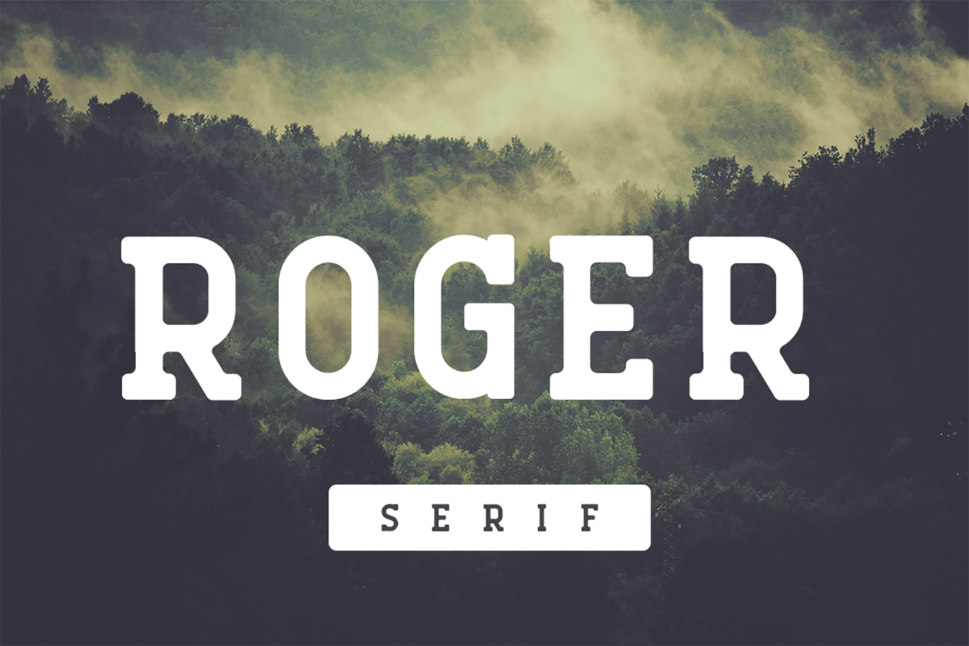 Roger Serif for Modern Web Design and Branding