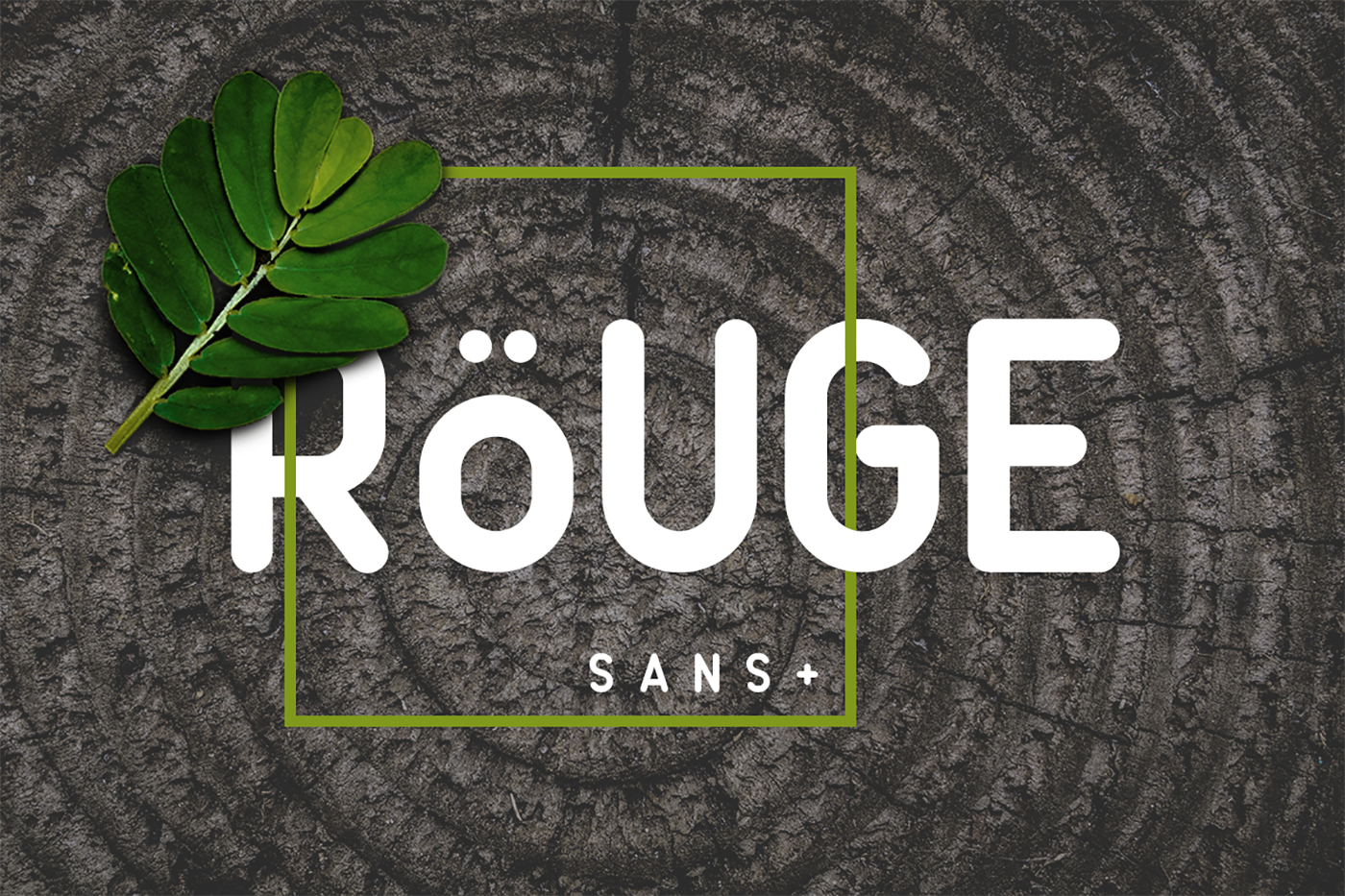 Rouge Sans for Modern Branding and Creative Projects