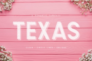 Texas a Romantic Typeface for Bold Web Design