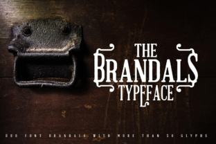 The Brandals: A Retro Serif Font for Designers